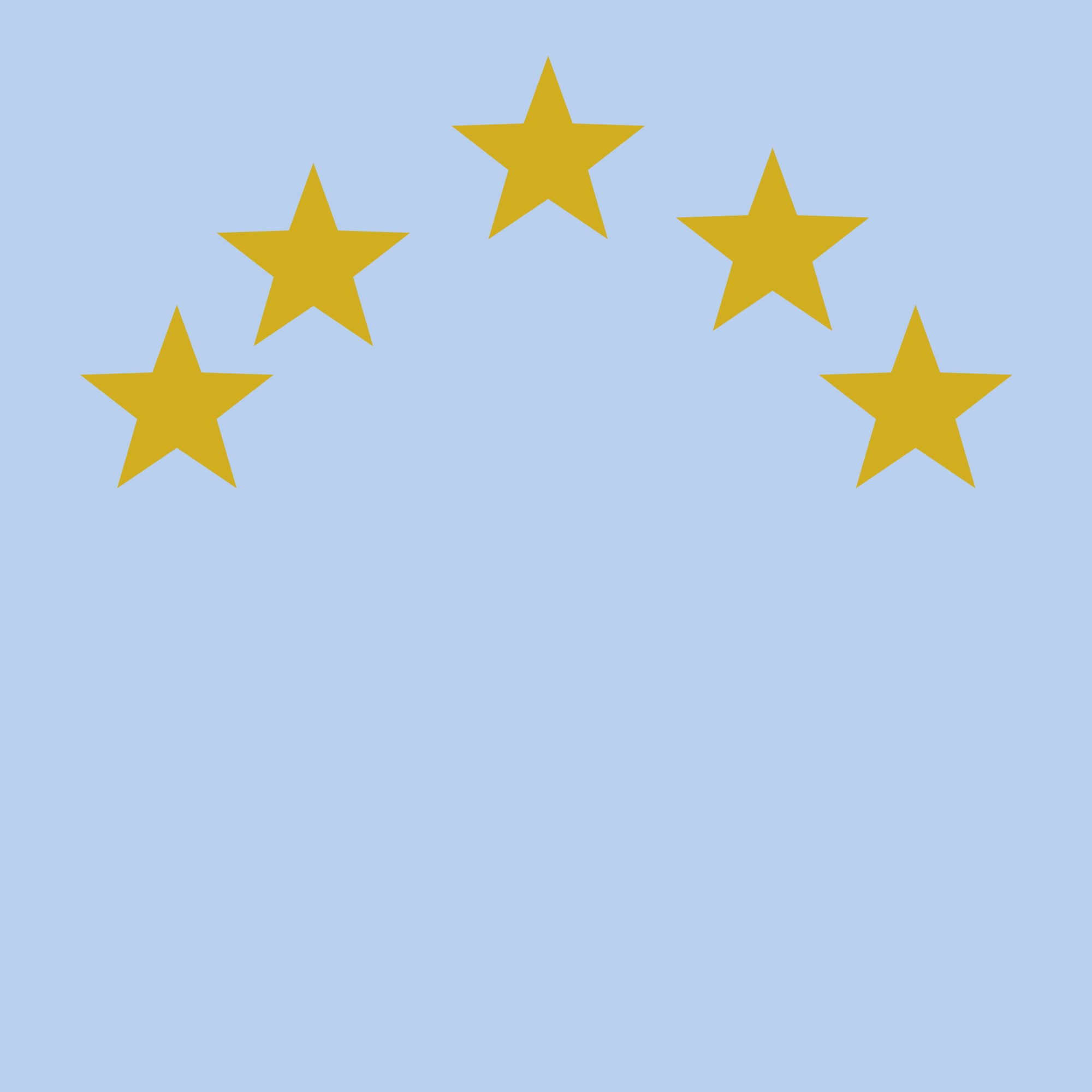 5 star review